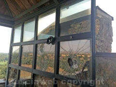 Viterbo - La torre di Castel D’Asso