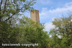 Chia - La torre di Pasolini