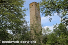 Chia - La torre di Pasolini