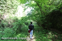 Chia - La torre di Pasolini