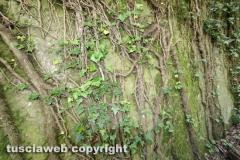 Chia - La torre di Pasolini
