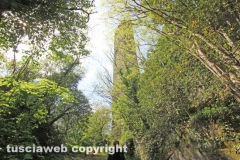 Chia - La torre di Pasolini