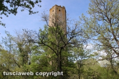 Chia - La torre di Pasolini