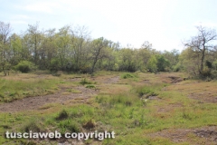 Chia - La torre di Pasolini