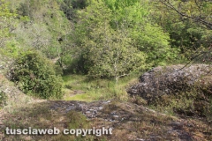 Chia - La torre di Pasolini