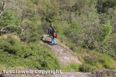 Chia - La torre di Pasolini