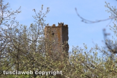Chia - La torre di Pasolini