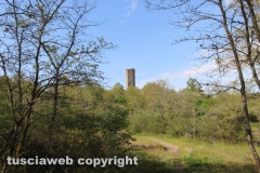 Chia - La torre di Pasolini