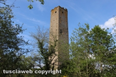 Chia - La torre di Pasolini