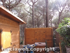 tromba-daria-al-campeggio-005