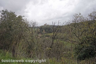 La Tuscanese