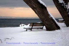 Montefiascone -  David Petretti