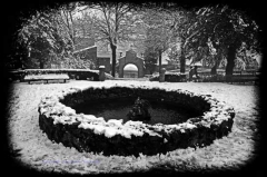 Montefiascone -  David Petretti