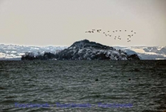 Montefiascone -  David Petretti