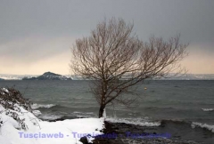 Montefiascone -  David Petretti