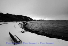 Montefiascone -  David Petretti