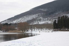 Il lago di Vico - Pierluigi Saba