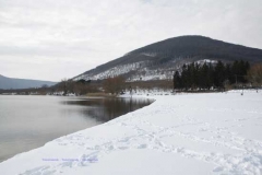Il lago di Vico - Pierluigi Saba
