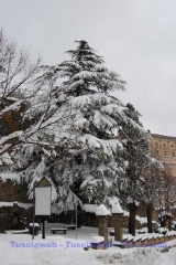 Caprarola - Stefano Tossini