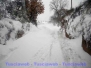 La Tuscia sotto la bufera di neve