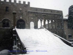 Viterbo - Gianluca Fabi