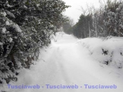 Strada san Nicolao - Viterbo - Silvia Pasquini