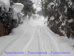 Strada san Nicolao - Viterbo - Silvia Pasquini