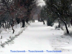 Tobia - Luca Marcucci