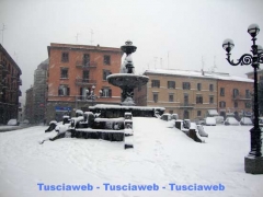 Viterbo - Luca Corbucci