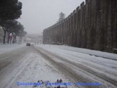 Viterbo - Luca Corbucci