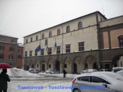 Viterbo - Luca Corbucci