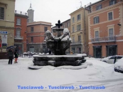 Viterbo - Luca Corbucci