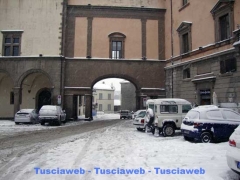 Viterbo - Luca Corbucci