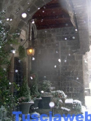 Viterbo - Stefania Bastoni