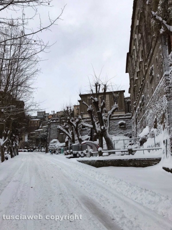 Soriano nel Cimino