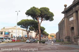 La valorizzazione della zona nord della città