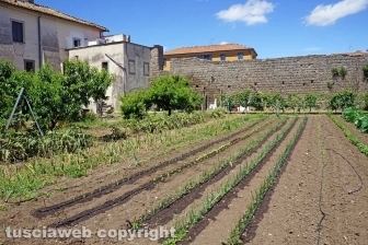 La valorizzazione della zona nord della città