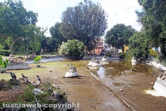 La vasca di pratogiardino Lucio Battisti