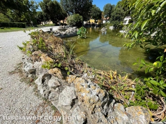 Il laghetto Acqua azzurra acqua chiara di pratogiardino Lucio Battisti "ripulito", seccate la gran parte delle piante acquatiche