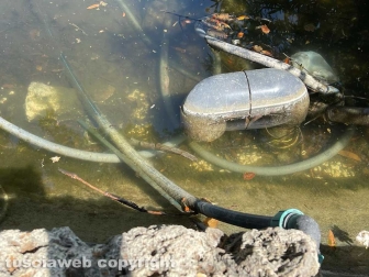Il laghetto Acqua azzurra acqua chiara di pratogiardino Lucio Battisti "ripulito", seccate la gran parte delle piante acquatiche