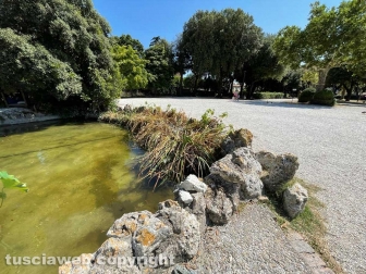 Il laghetto Acqua azzurra acqua chiara di pratogiardino Lucio Battisti "ripulito", seccate la gran parte delle piante acquatiche