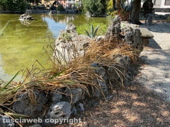 Il laghetto Acqua azzurra acqua chiara di pratogiardino Lucio Battisti "ripulito", seccate la gran parte delle piante acquatiche