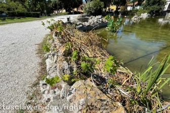 Il laghetto Acqua azzurra acqua chiara di pratogiardino Lucio Battisti "ripulito", seccate la gran parte delle piante acquatiche