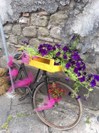 La via dei fiori a Pianoscarano
