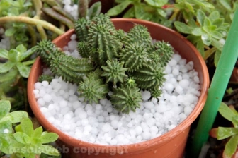 La violenta grandinata su Viterbo del 2014