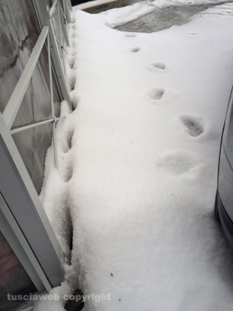 La violenta grandinata su Viterbo del 2014