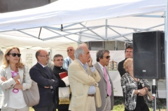frittelli_fersini_ricci_delli_iaconi
