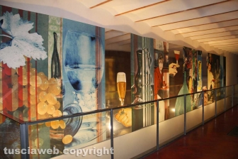 Castiglione in Teverina - Il museo del vino