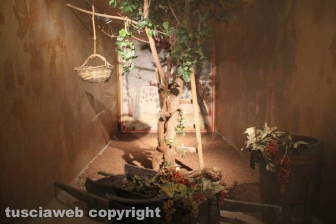 Castiglione in Teverina - Il museo del vino