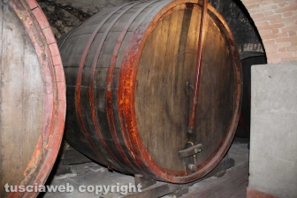 Castiglione in Teverina - Il museo del vino